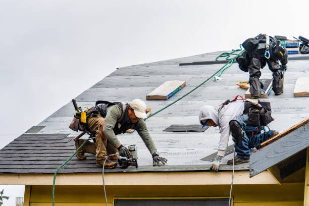 Professional Roofing technician working in Fancher, NY